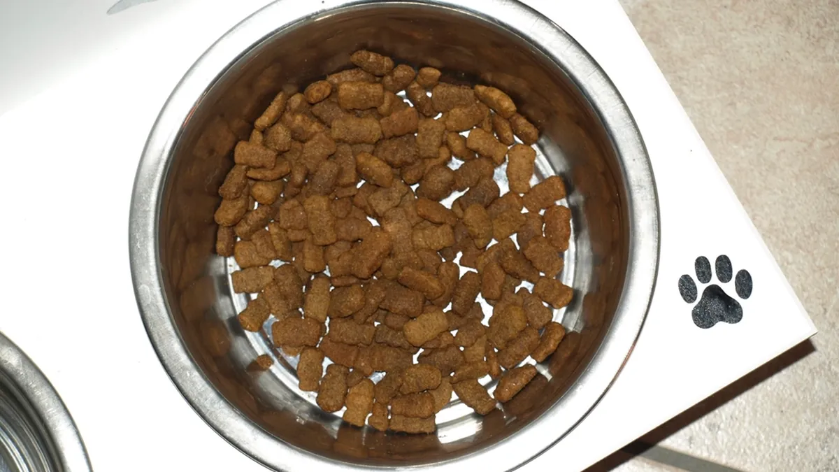 Napf mit Hundefutter von oben auf einer Matte mit Pfotenabdruck
