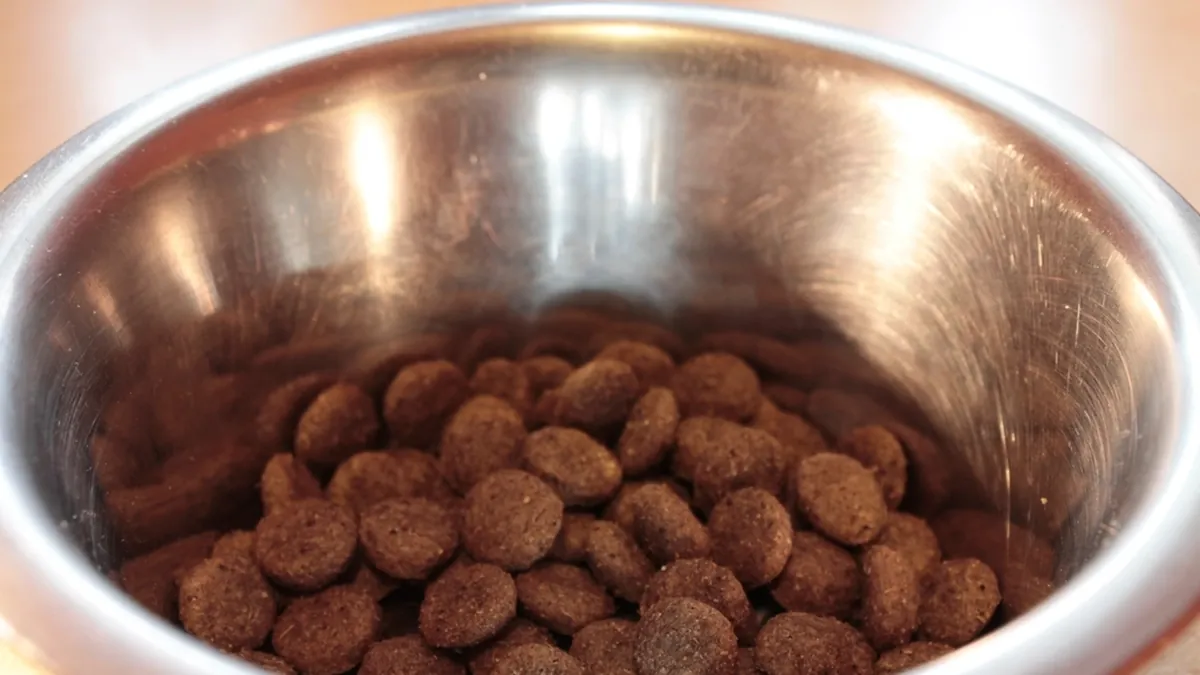 Ein Edelstahlnapf mit Trockenfutter, die Basis für bestes Hundefutter im Alltag