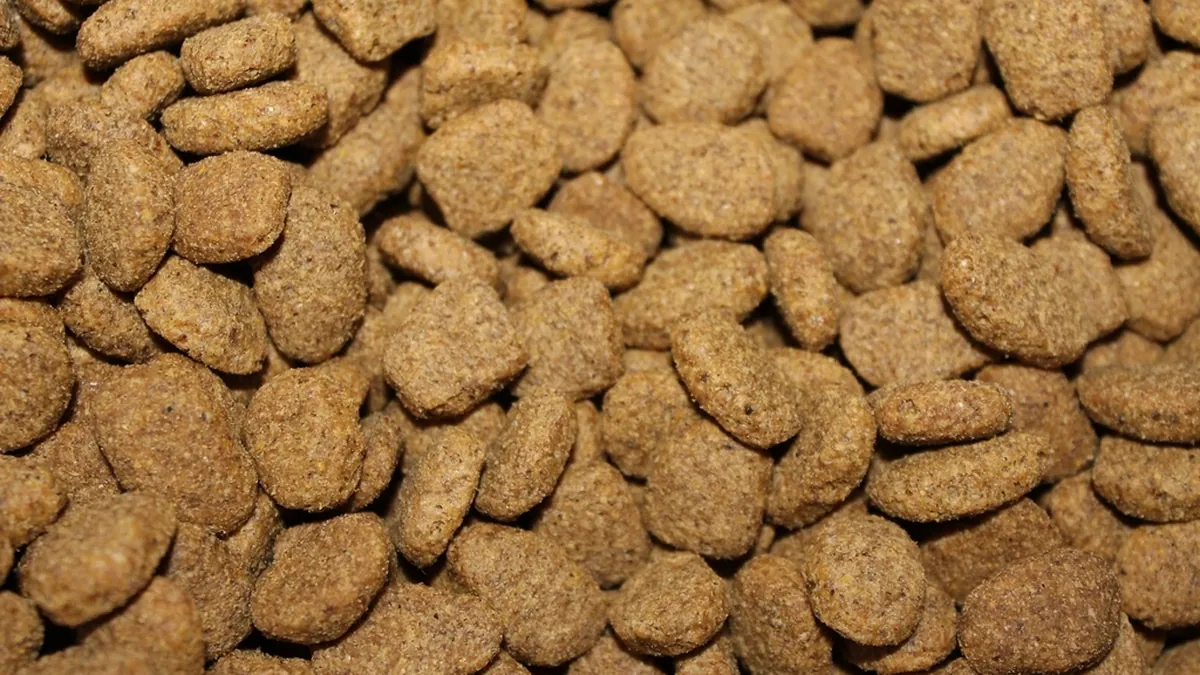 Nahaufnahme von Trockenfutter-Kroketten mit sichtbarer Textur