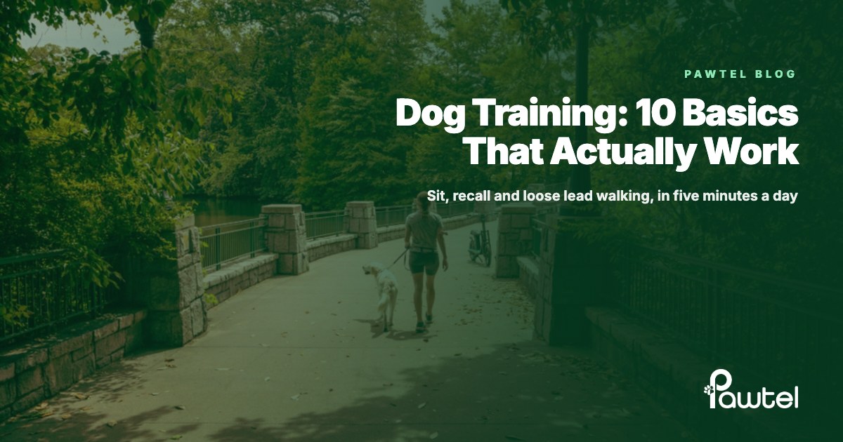 Dog training guide cover: a woman walking her dog on a loose lead through a leafy park
