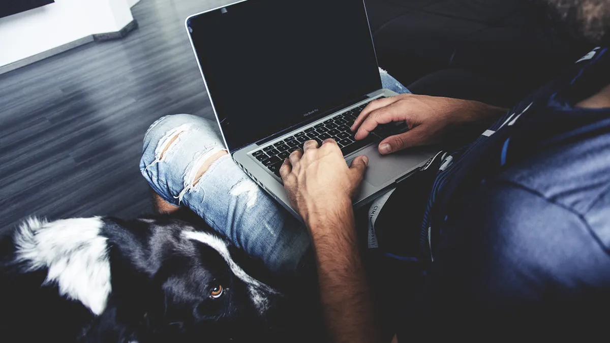 An owner browsing sitter profiles from the sofa while their border collie leans on their leg