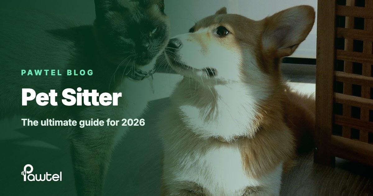 Pet sitter guide cover: a siamese cat and a corgi side by side in a sunny home