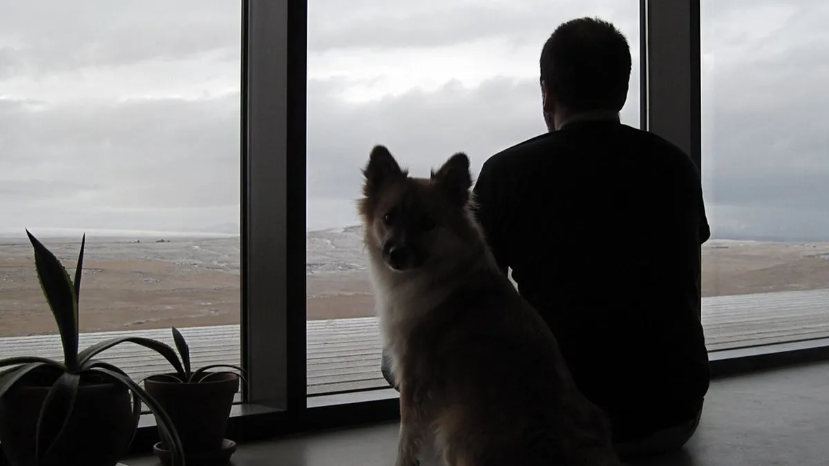 Hund sitzt entspannt neben seinem Sitter am Fenster einer Berliner Wohnung
